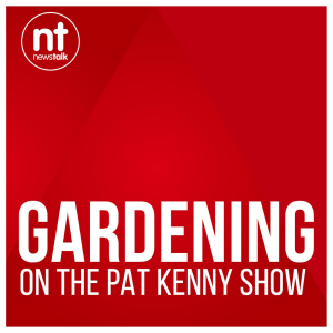 Gardening on Pat Kenny-logo