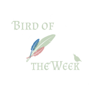 Bird of the Week-logo