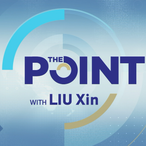 The Point with Liu Xin-logo