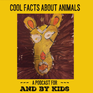Cool Facts About Animals-logo
