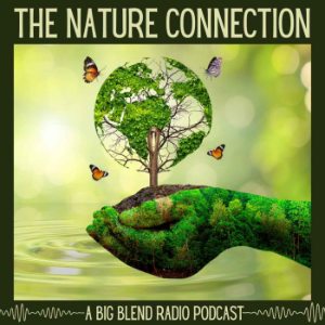 Nature Connection Radio-logo