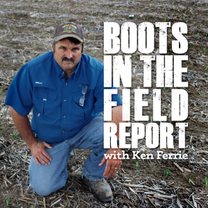 Boots In The Field Report-logo