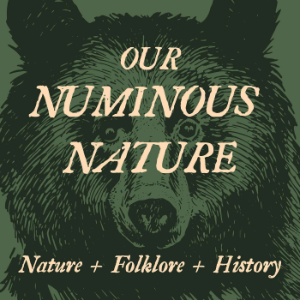 Our Numinous Nature-logo