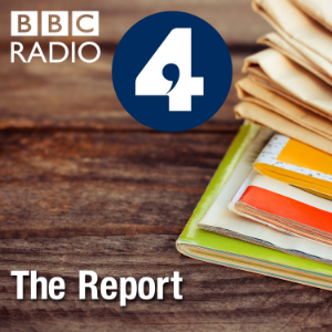 The Report-logo
