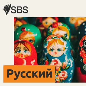 Программа SBS Russian — эфир от 28.05.2026