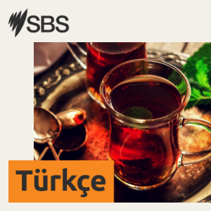 Çalınan Nesiller için basit bir özür yeterli değil: Gereğini Yap