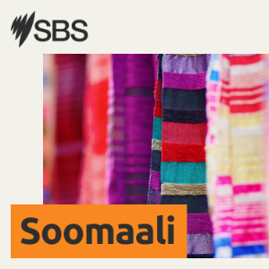 SBS Somali - SBS Afsomali-logo