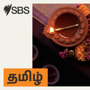 விஜய்யின் வெற்றி, மக்களின் மன உணர்வு அம்சங்களில் Social Media செலுத்தும் தாக்கம் என்ன?