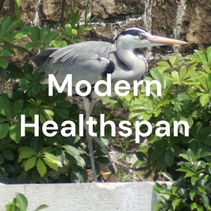 Modern Healthspan-logo
