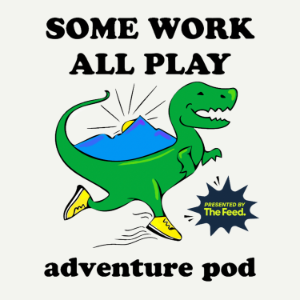 Some Work, All Play-logo
