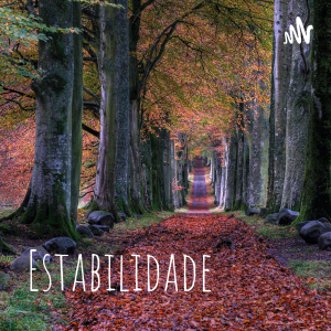 Estabilidade-logo
