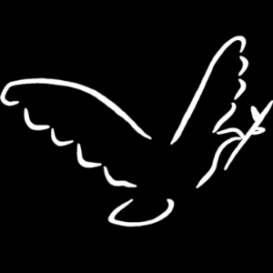 Herald Vineyard Liverpool-logo