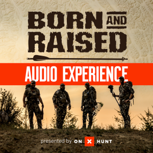 The Born And Raised Audio Experience-logo