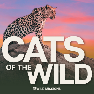 Cats of the Wild-logo