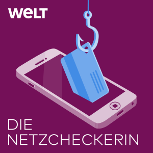 Die Netzcheckerin