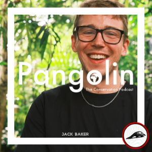 Pangolin: The Conservation Podcast-logo
