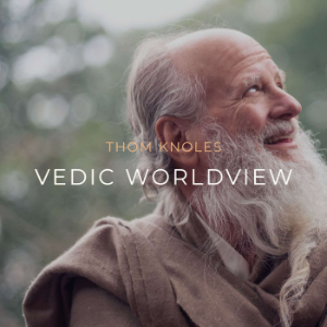 Vedic Worldview-logo