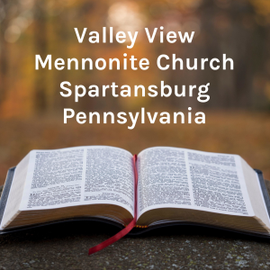 Valley View Mennonite Church Spartansburg Pennsylvania-logo