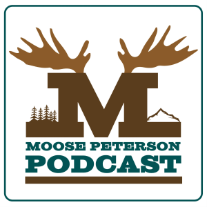 Moose Podcasts-logo