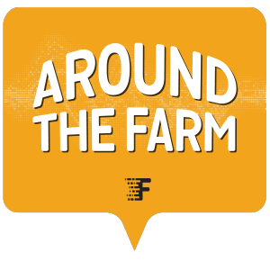 Tales From Planting Season