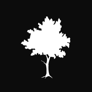 Painesville Assembly of God-logo