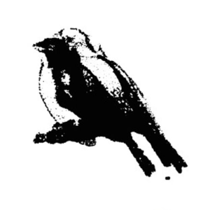 Home Normal-logo