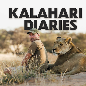 Kalahari Diaries-logo