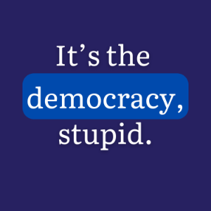 It's the Democracy, Stupid (formerly "The Big Picture") Featured Interviews-logo