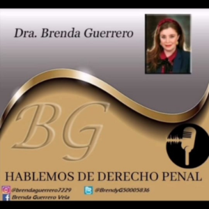 Hablemos de Derecho Penal y Procesal Penal Brenda Guerrero Vela-logo