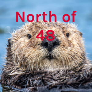 North of 48-logo