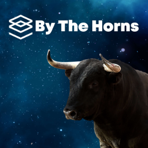 By The Horns: A Bitcoin podcast about South Africa-logo