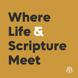 CCEF Podcast: Where Life & Scripture Meet-logo