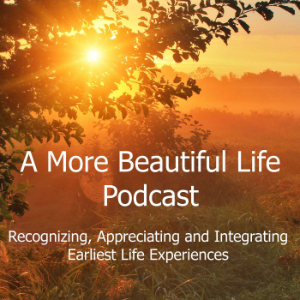 A More Beautiful Life with Kate White-logo