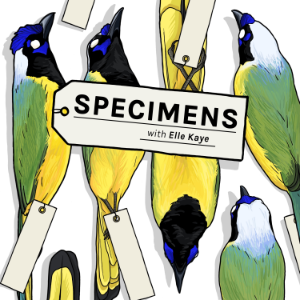 Specimens-logo