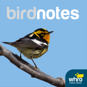 BirdNotes-logo