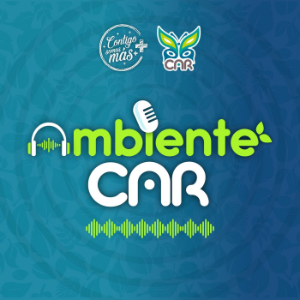 Ambiente CAR