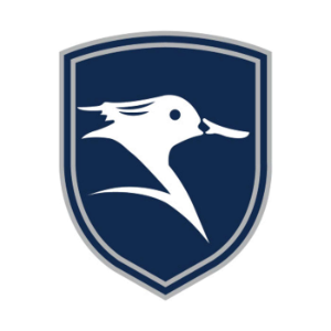 A Bird's-Eye View of the Bond Market-logo