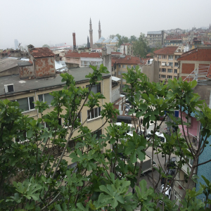 Kur'an-i Kerim Tefsiri-logo