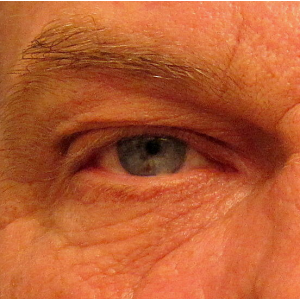 Bill Austin