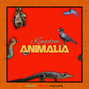 Kingdom: Animalia - A Zoology Podcast for Kids-logo