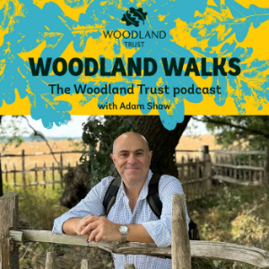 Woodland Walks - The Woodland Trust Podcast-logo
