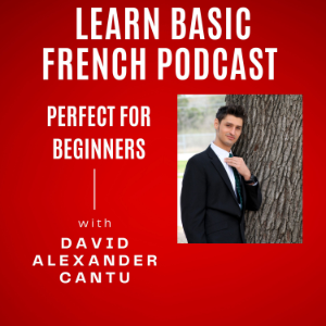 Learn Basic French Podcast-logo