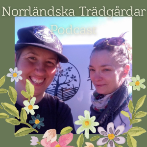 Norrlandska tradgardar