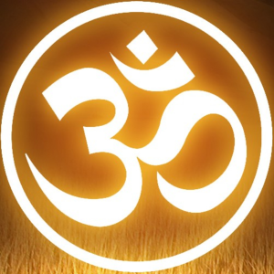 Bhakti hi Shakti-logo