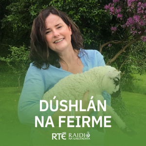 Dushlan na Feirme-logo