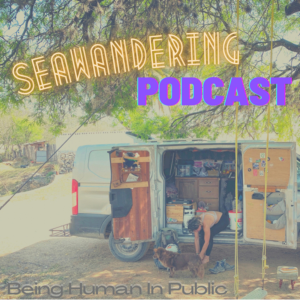 Seawandering: Being Human In Public-logo