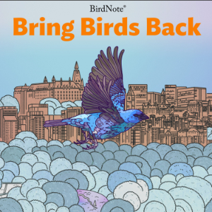 Bring Birds Back-logo