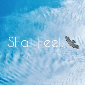 SFat Feel-logo
