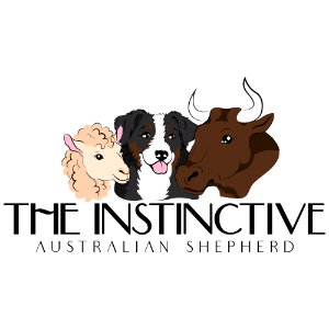 The Instinctive Australian Shepherd-logo
