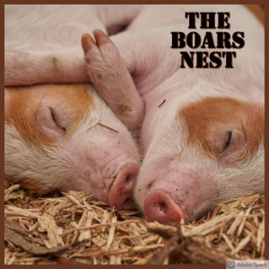 The Boar's Nest-logo